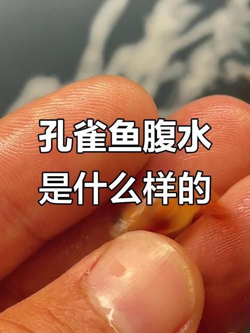 哪些魚種適合鹽浴治療魚腹水，關于鹽浴治療魚類腹水