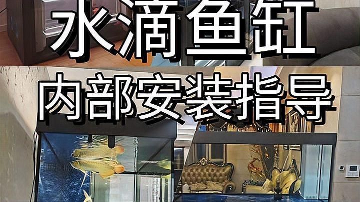 如何判斷一個龍魚缸的質量？，85%龍魚缸的質量要求1000字說明和配圖
