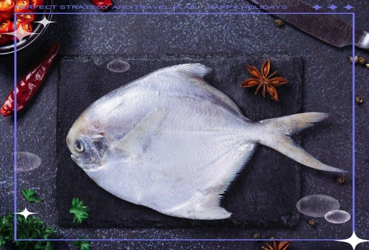 從化龍魚和鯧魚的價格差異大嗎？，從化龍魚與鯧魚價格差異