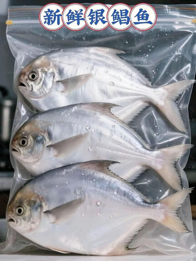 從化龍魚和鯧魚的價格差異大嗎？，從化龍魚與鯧魚價格差異