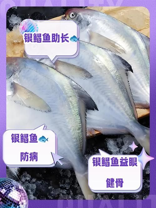 從化龍魚和鯧魚的價格差異大嗎？，從化龍魚與鯧魚價格差異