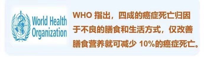 治療期間如何保持營(yíng)養(yǎng)均衡，腫瘤治療期間如何保持營(yíng)養(yǎng)均衡