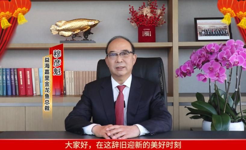 請提供金龍魚高管的詳細履歷，金龍魚慈善公益基金會金龍魚慈善公益基金公司（簡稱“金龍魚”