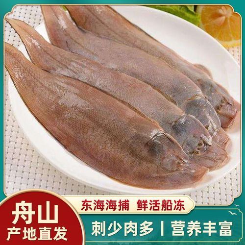 深海龍利魚的市場價格，深海龍利魚的價格 深海龍利魚的市場價格，深海龍利魚的價格 龍魚百科 第1張
