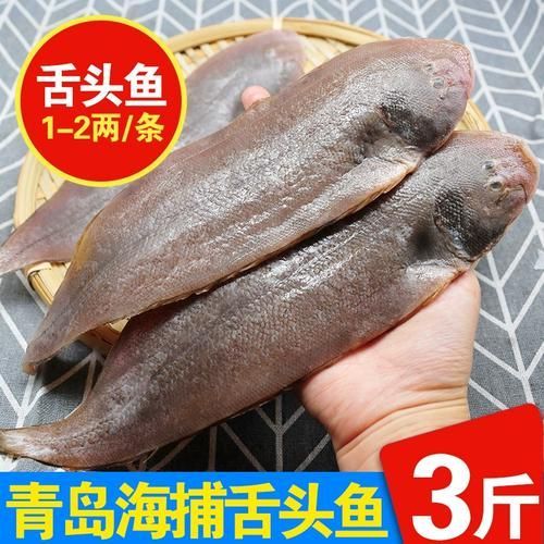 深海龍利魚的市場價格，深海龍利魚的價格 深海龍利魚的市場價格，深海龍利魚的價格 龍魚百科 第3張