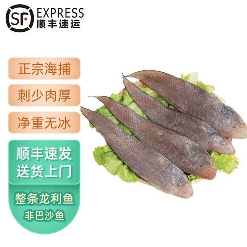 深海龍利魚的市場價格，深海龍利魚的價格 深海龍利魚的市場價格，深海龍利魚的價格 龍魚百科 第5張