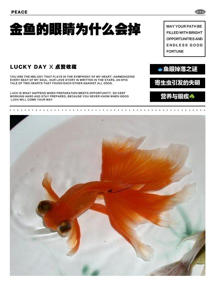 魚眼脫落能自愈嗎，魚眼脫落不是“能好能壞”的小問題，營養師要不要幫你整理一份