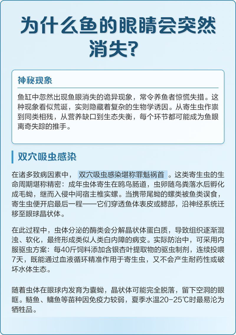 魚眼脫落能自愈嗎，魚眼脫落不是“能好能壞”的小問題，營養師要不要幫你整理一份