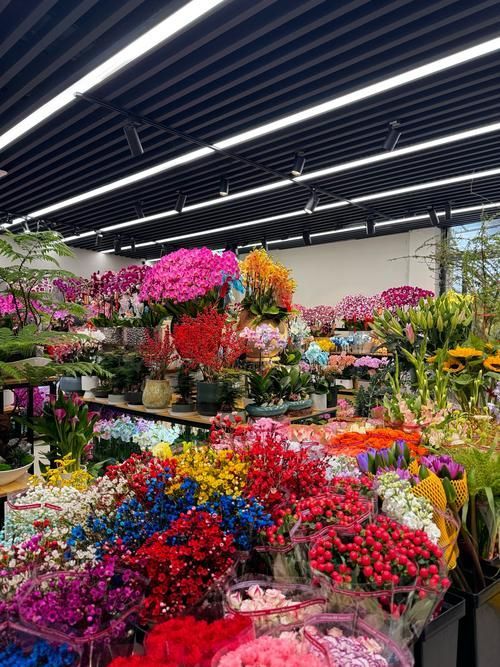 弋江花鳥市場有賣龍魚嗎？，弋江花鳥市場龍魚價格親民，引入多家專業水族店鋪和推薦路線