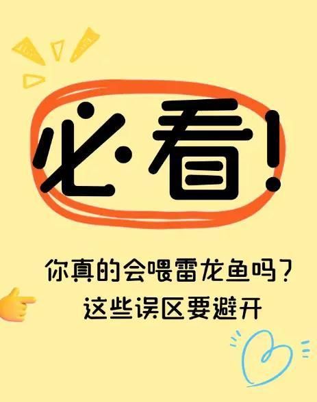 哪些食物適合彩虹雷龍魚，彩虹雷龍魚喂養(yǎng)全攻略