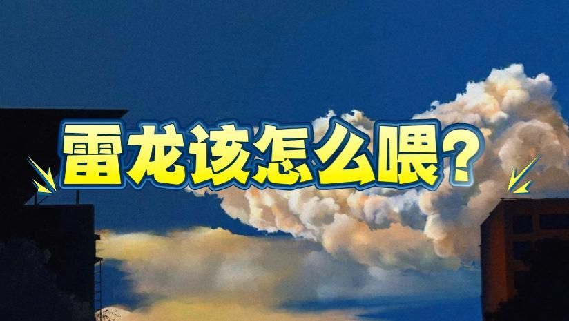 哪些食物適合彩虹雷龍魚，彩虹雷龍魚喂養全攻略