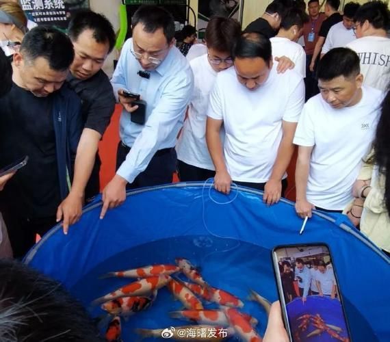 中國(guó)魚(yú)寶拍賣(mài)交易，中國(guó)魚(yú)寶拍賣(mài)交易是真實(shí)存在的真實(shí)存在的真實(shí)含義