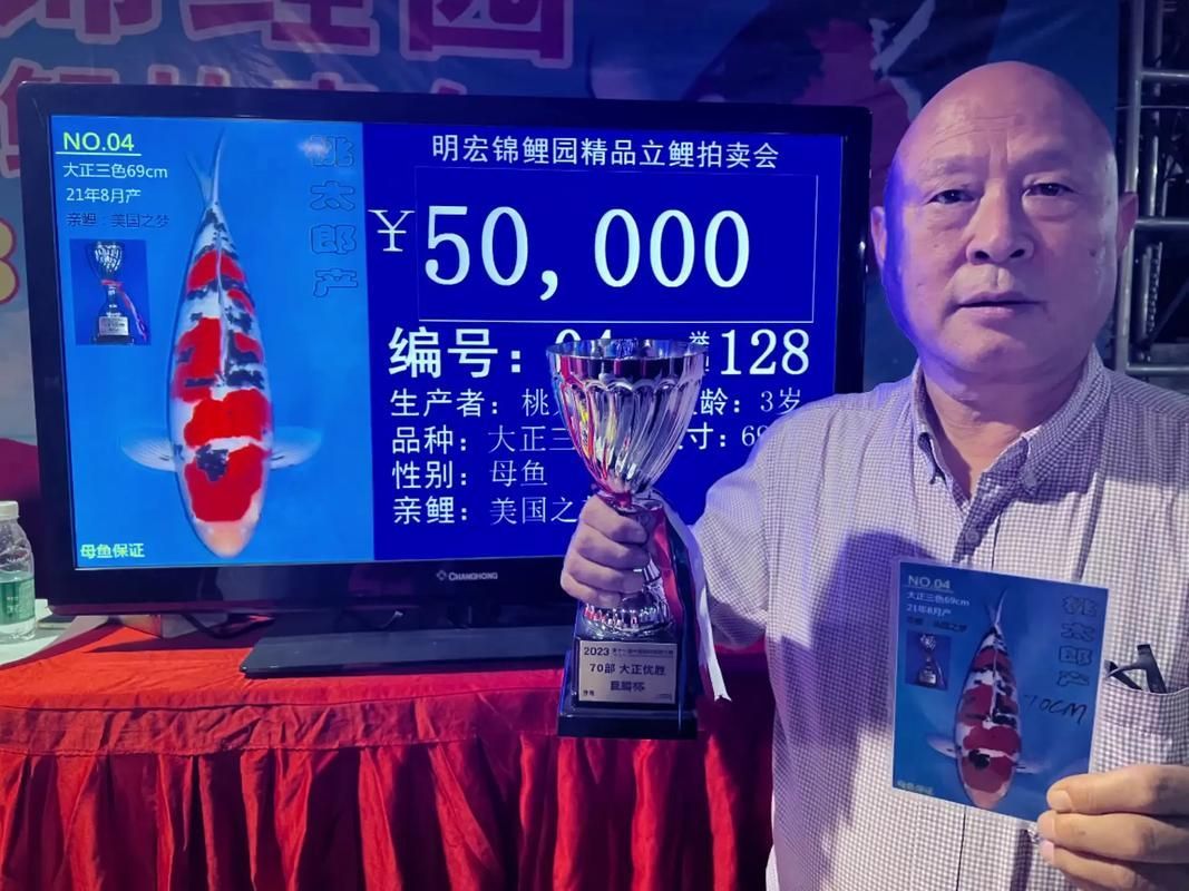 中國魚寶拍賣交易，中國魚寶拍賣交易是真實存在的真實存在的真實含義