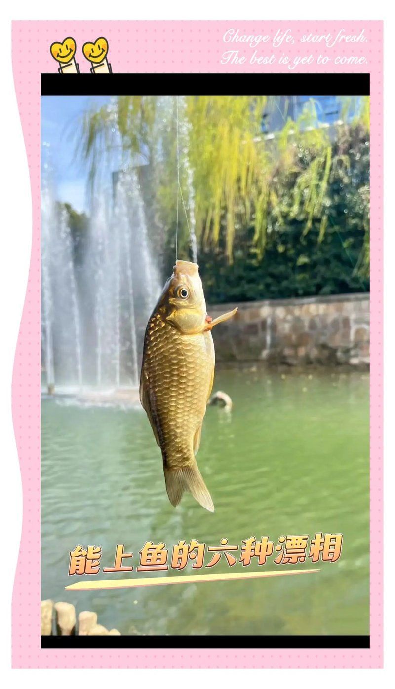 如何區(qū)分魚沉尾和其他漂相，如何區(qū)分魚沉尾和其他漂相？6種漂相教你提竿時(shí)機(jī)