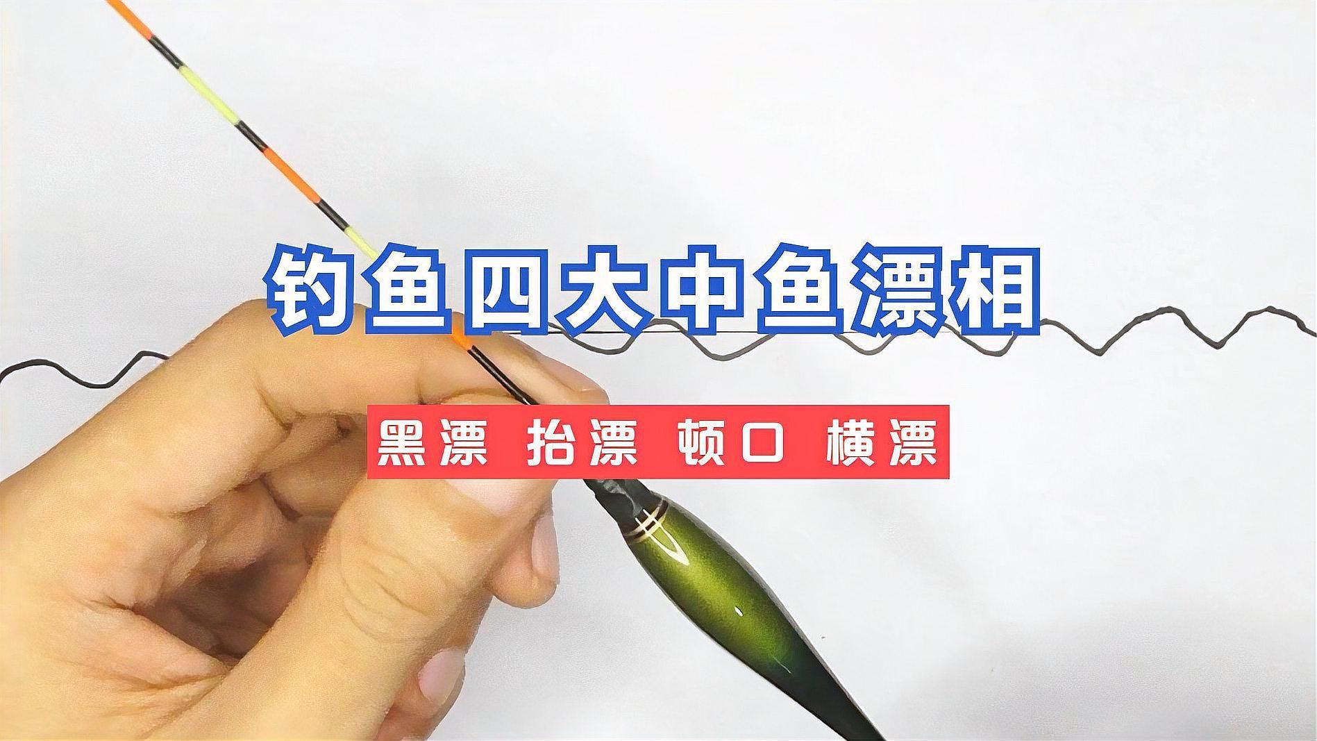 如何區(qū)分魚沉尾和其他漂相，如何區(qū)分魚沉尾和其他漂相？6種漂相教你提竿時(shí)機(jī)