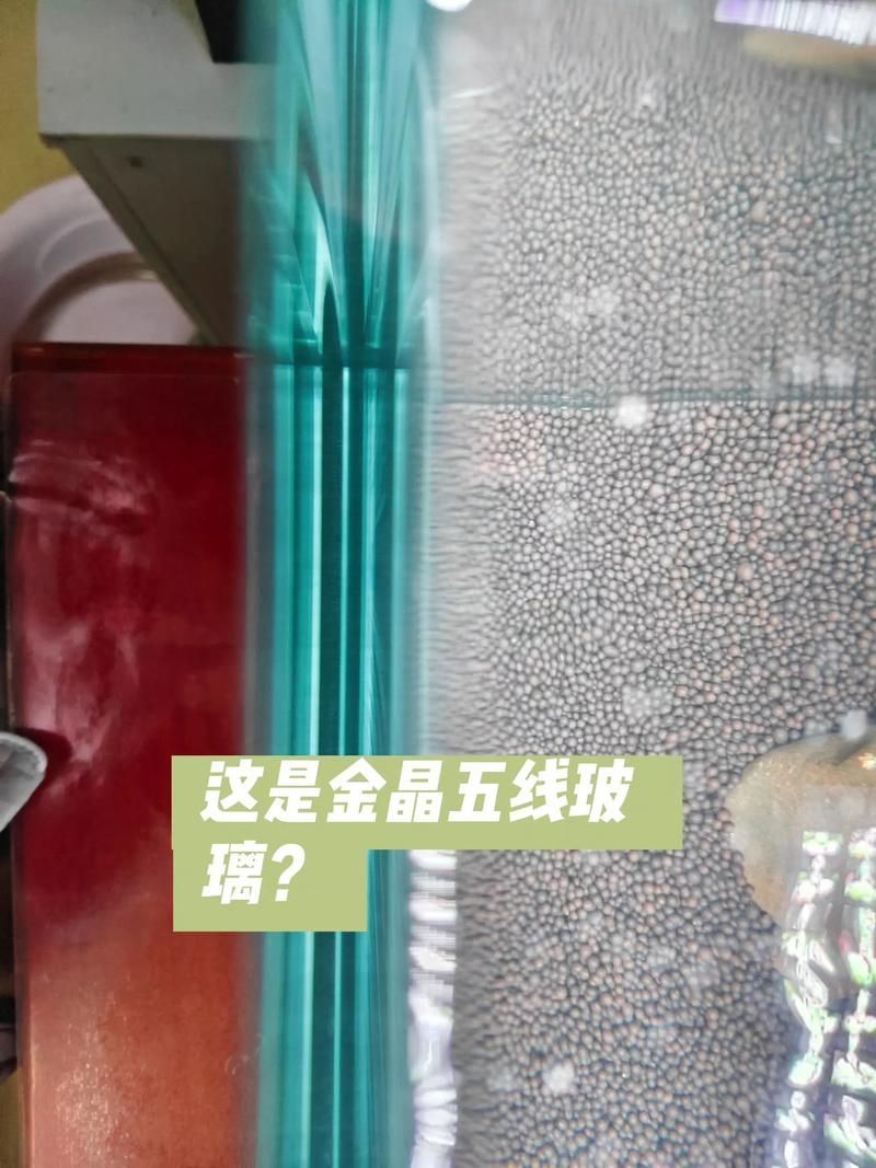 如何辨別魚缸的真偽？，如何辨別魚缸“真偽”并非指真假水族箱的存在