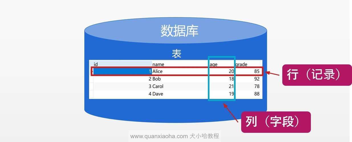 字段2有哪些具體應用場景，mysql數據表中“字段2”具體指的是什么