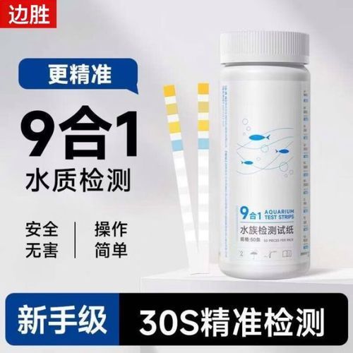 如何改善水質以預防爛鰭病，arxiv論文助手arxiv論文助手詳解如何改善水質以預防爛鰭病