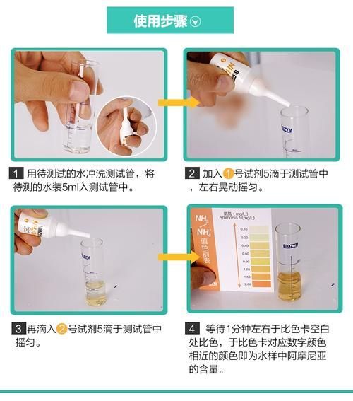 如何改善水質以預防爛鰭病，arxiv論文助手arxiv論文助手詳解如何改善水質以預防爛鰭病