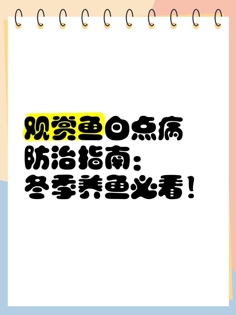 哪種方法最適合預防龍魚白點病，如何預防龍魚白點病