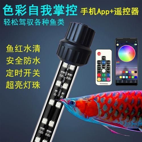 金龍魚使用暖黃色燈光有哪些注意事項？，金龍魚使用暖黃色燈光多久合適金龍魚使用暖黃色燈光