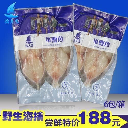 湛江龍魚的價格是多少？，湛江觀賞龍魚市場購買指南