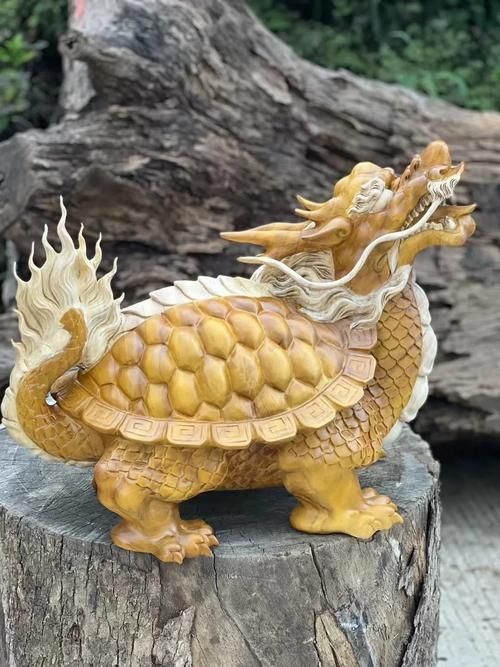 能否提供龍龜的圖片示例，龍龜在風水中的作用