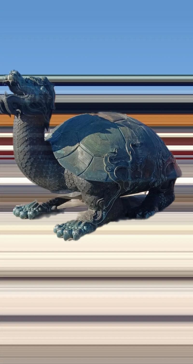 能否提供龍龜的圖片示例，龍龜在風水中的作用