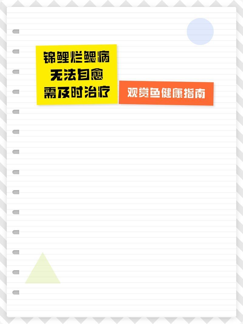 魚爛鰓能自愈嗎治療在，如何防治魚爛鰓的病因？