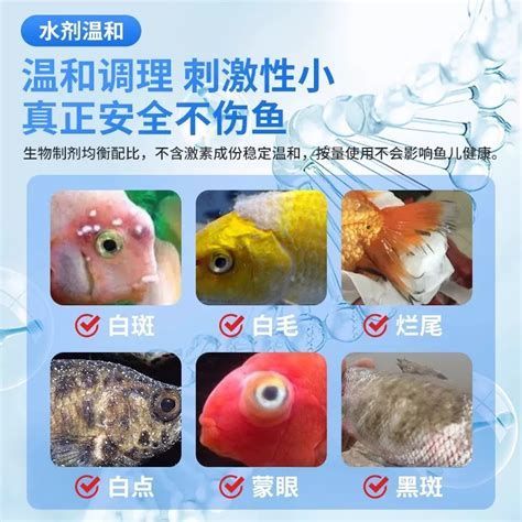 魚爛尾怎么治療最快，魚爛尾怎么治療最快，詳解與配圖,爛尾是最快的治療方法