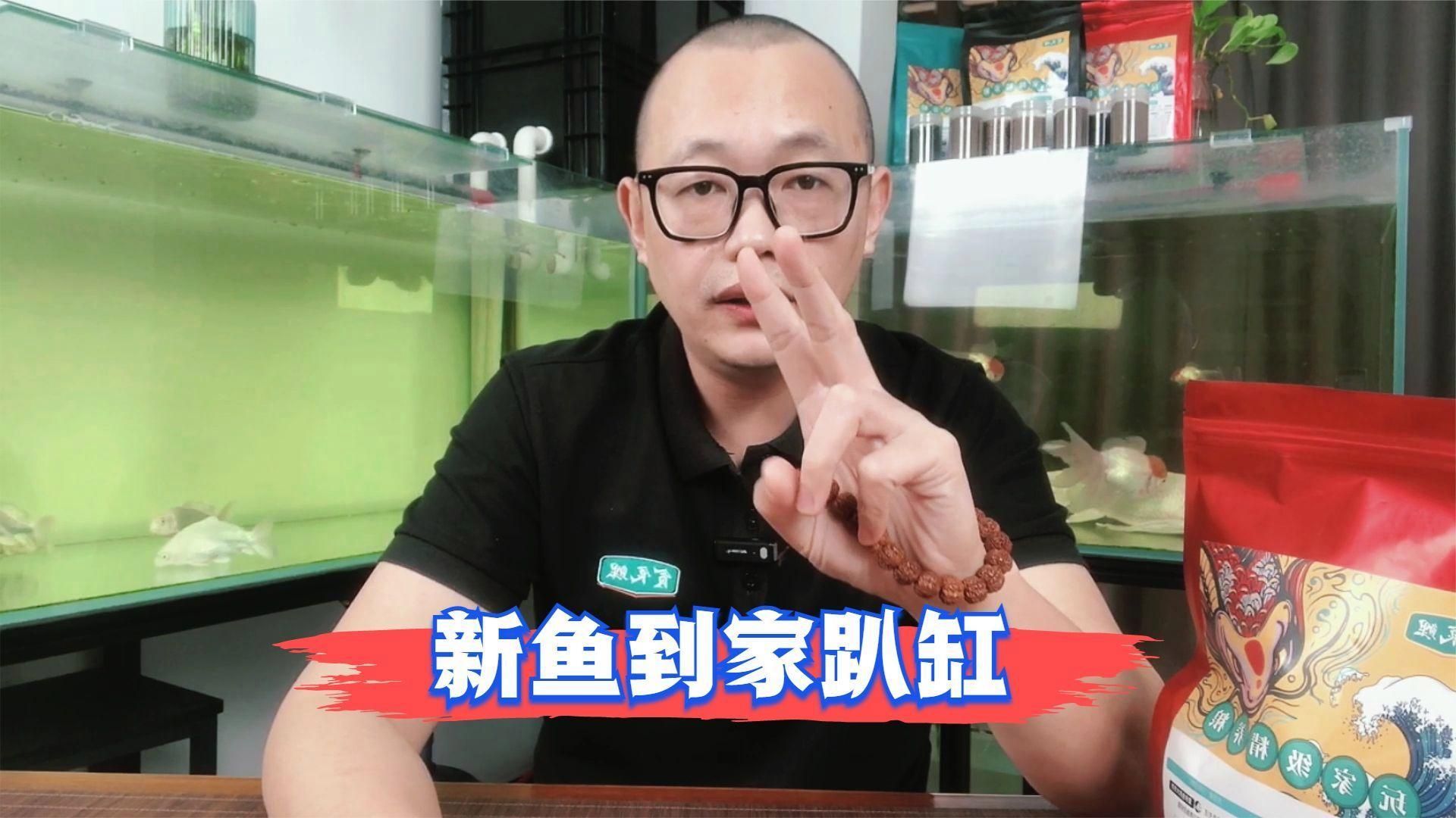新魚趴缸后多久會(huì)開始覓食，新魚入缸后出現(xiàn)趴缸現(xiàn)象是常見應(yīng)激反應(yīng)，如何判斷新魚是否開始覓食