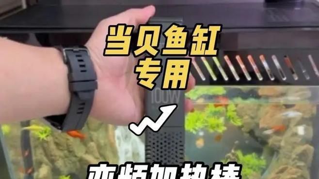 龍魚養殖需要哪些設備，龍魚養殖中水質管理有哪些技巧龍魚養殖中水質管理