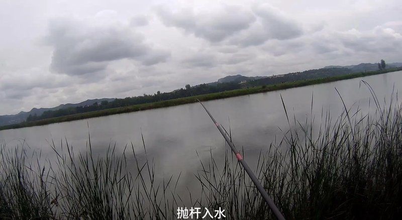 觀魚釣魚技巧分享，西安觀魚釣魚技巧分享