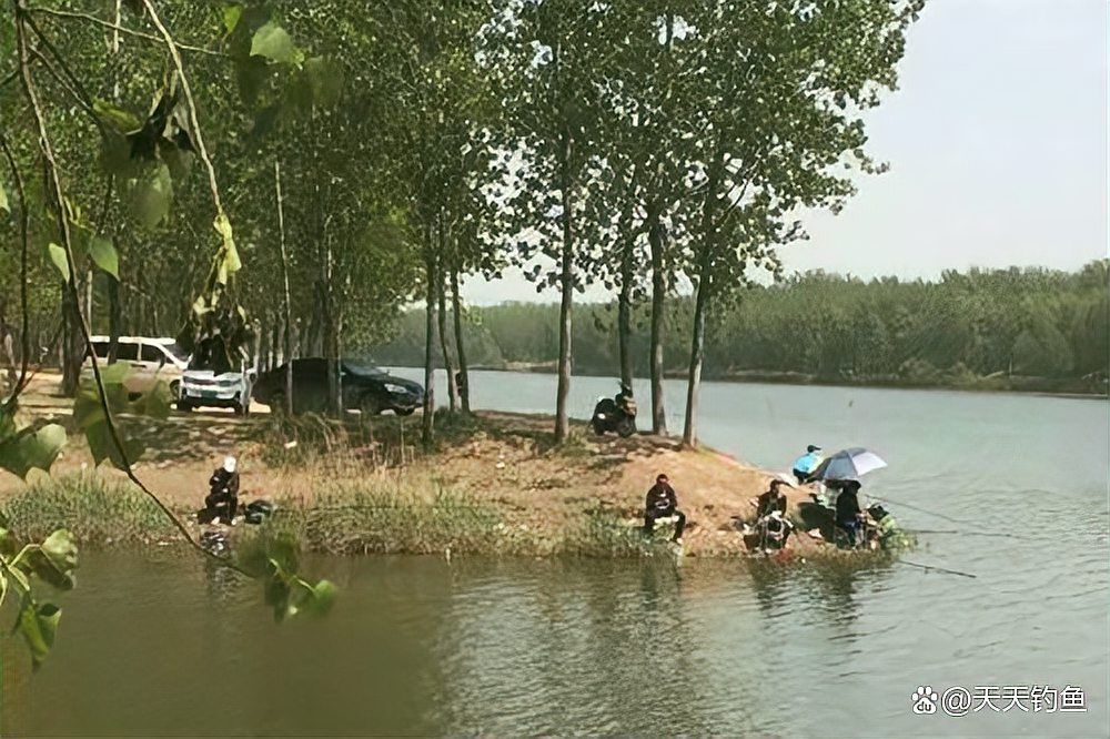 觀魚釣魚技巧分享，西安觀魚釣魚技巧分享