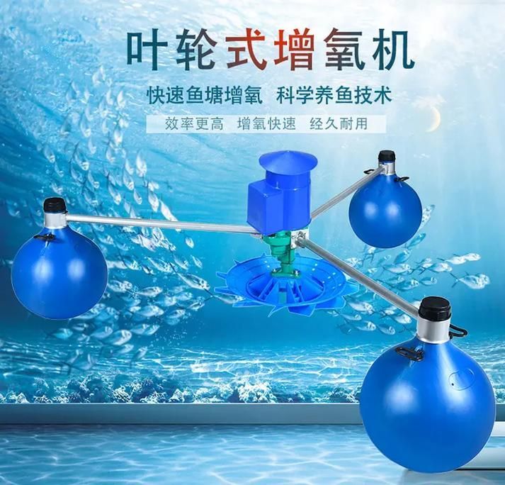 如何預(yù)防魚外傷，arxiv論文助手arxiv論文助手arxiv論文助手