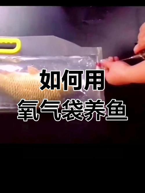 如何預(yù)防魚外傷，arxiv論文助手arxiv論文助手arxiv論文助手