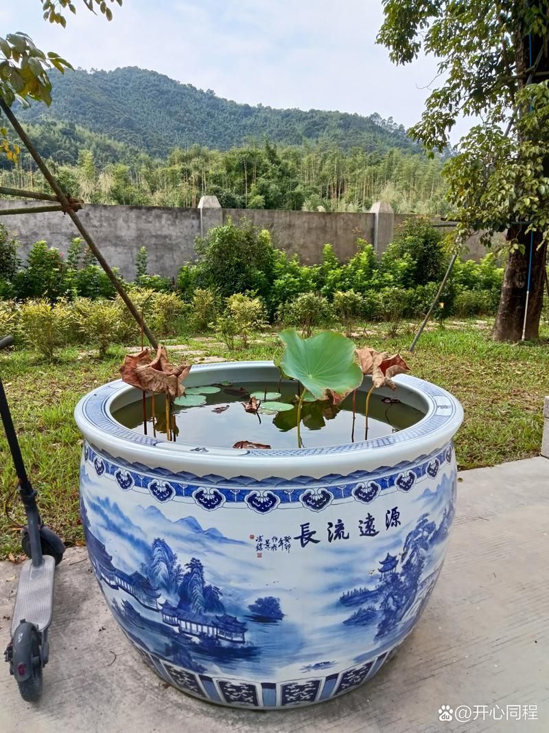 給我一些橫放缸和豎放缸的圖片示例，如何選擇適合的橫放缸或豎放缸
