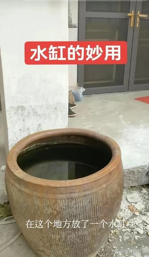 給我一些橫放缸和豎放缸的圖片示例，如何選擇適合的橫放缸或豎放缸