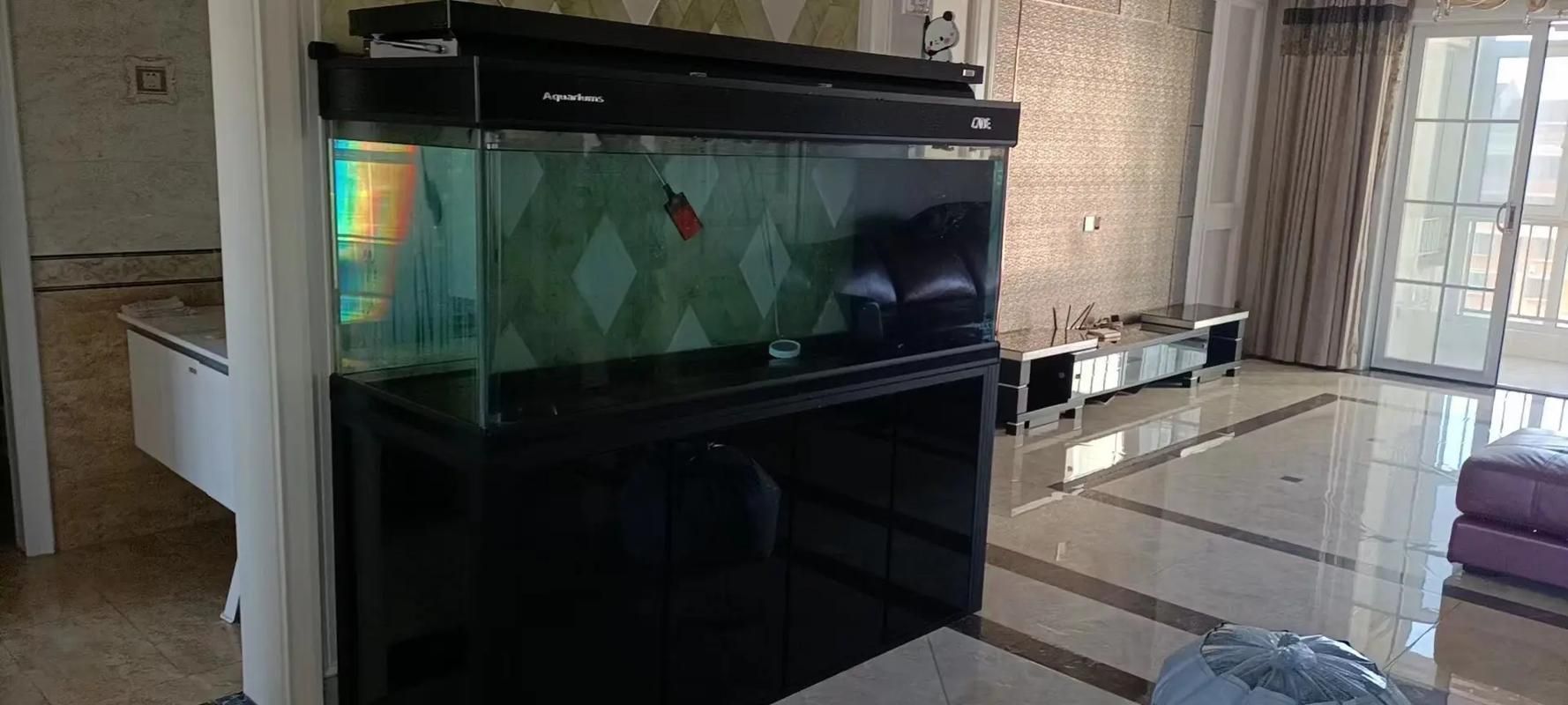 彩蝶魚缸有哪些型號推薦？，彩蝶魚缸型號介紹