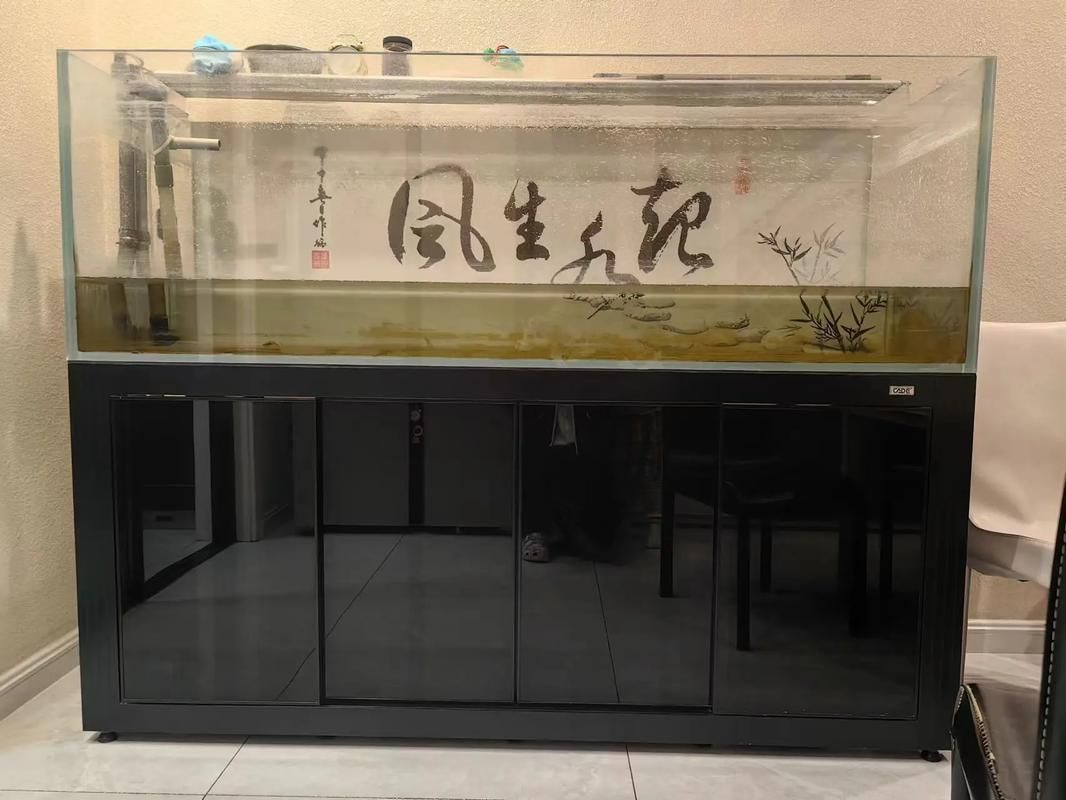 彩蝶魚缸有哪些型號推薦？，彩蝶魚缸型號介紹