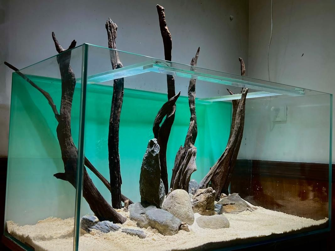 野彩魚缸造景技巧有哪些？
