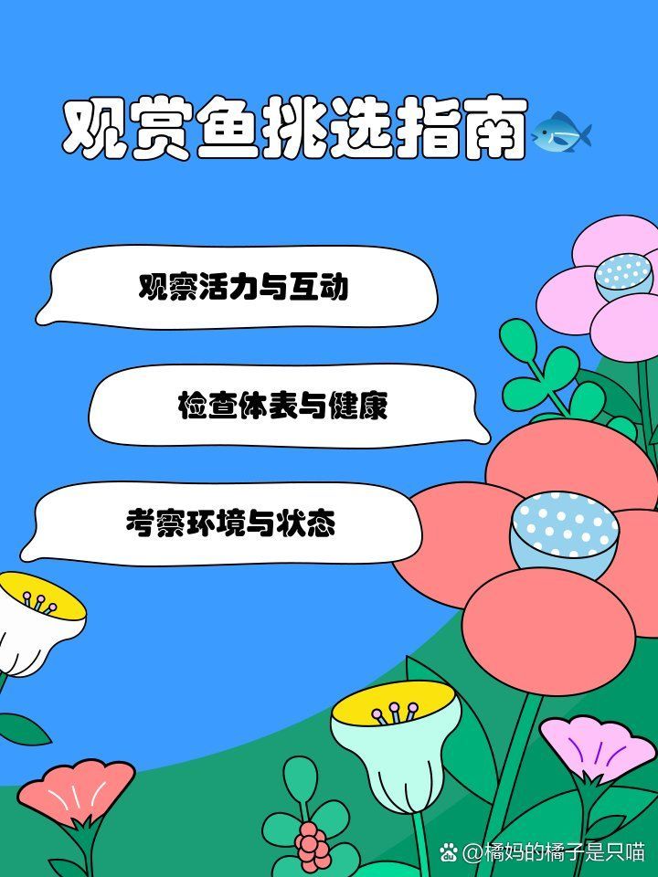 如何判斷淡水觀賞魚是否健康，怎樣判斷淡水觀賞魚是否健康？