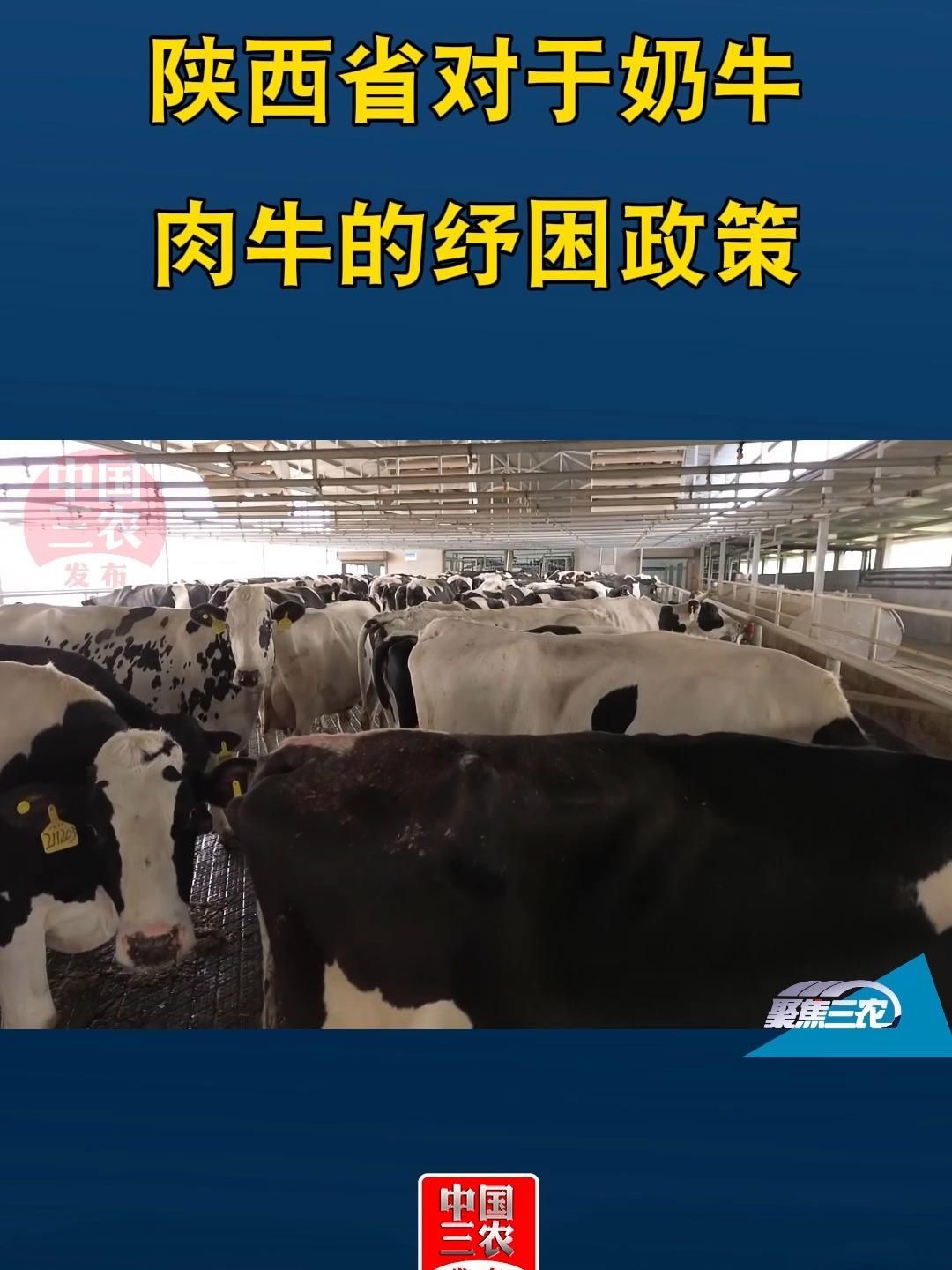 有哪些政策支持養(yǎng)殖業(yè)，政策支持養(yǎng)殖業(yè)