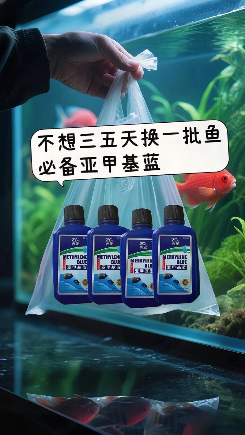 如何正確使用亞甲基藍治療炸鱗，亞甲基藍使用方法