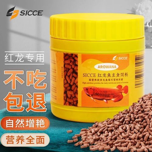 有哪些適合紅龍魚的干食品牌推薦，紅龍魚干的選擇