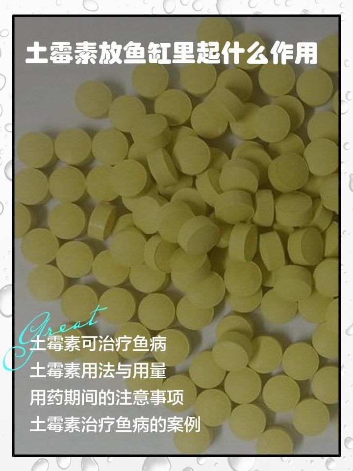 土霉素治療魚病需要多少劑量，土霉素在魚缸中的應用