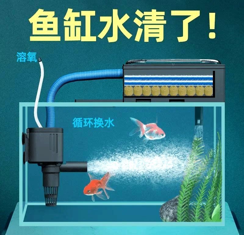 魚缸的過濾系統(tǒng)如何選擇，魚缸過濾系統(tǒng)如何選擇