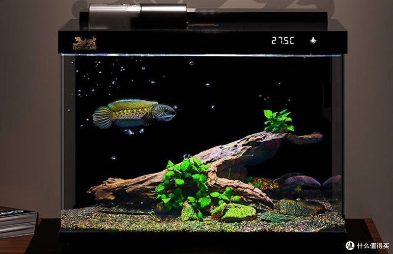 森森魚缸有哪些熱門型號，性價比高的森森魚缸哪個型號最好如何選擇森森魚缸