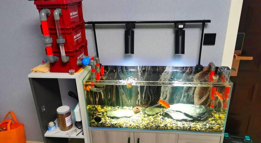 祥龍魚場水族燈的價格是多少？，祥龍魚場水族燈
