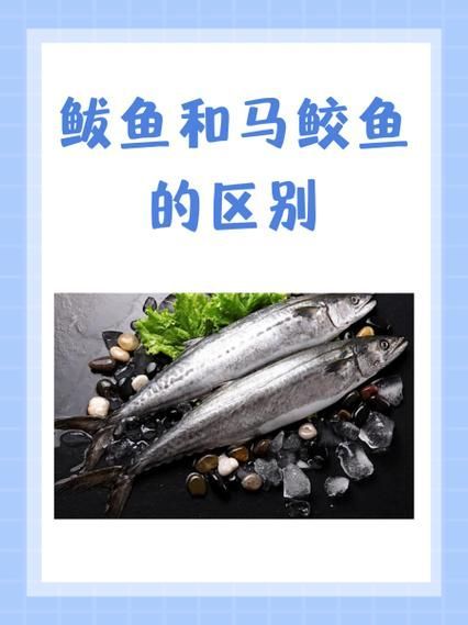如何鑒別鲅魚體內(nèi)的寄生蟲和魚筋，arxiv論文助手可輔助查找水產(chǎn)寄生蟲和魚筋的鑒別方法